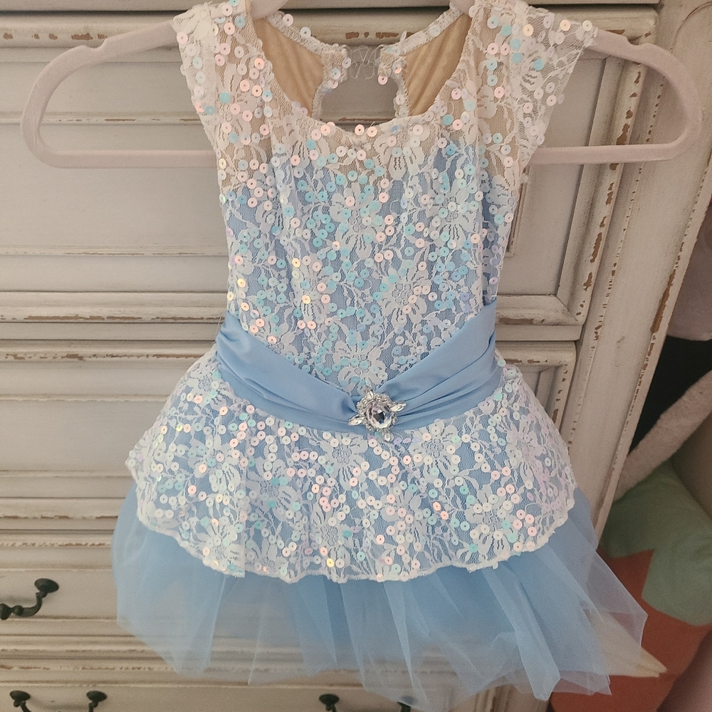 Cinderella inspired dress with leotard underneath